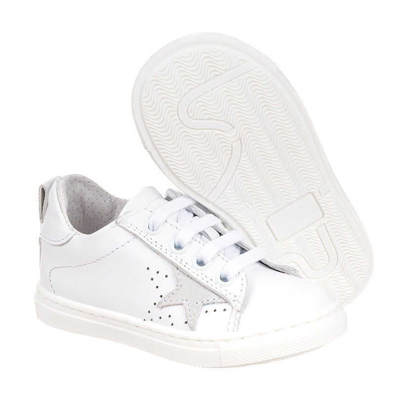 70ded1db536cf938a37bfbc8c0d48a12