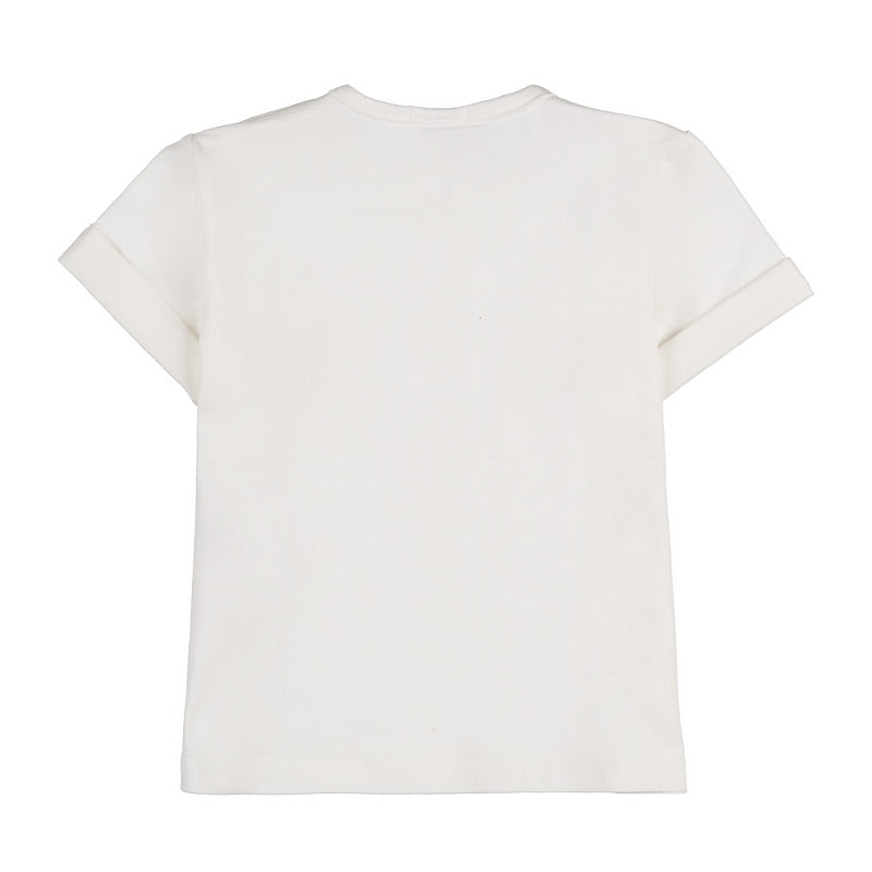 2e8e0d962c06447ce806dce83fd2a4f4