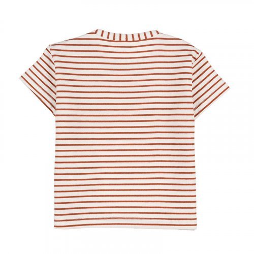 2pcs Set Striped T-shirt + Shorts Brown_5247