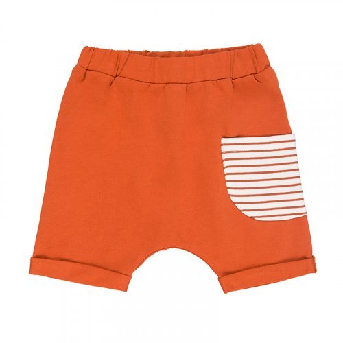2pcs Set Striped T-shirt + Shorts Brown_5248