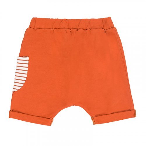 2pcs Set Striped T-shirt + Shorts Brown_5249