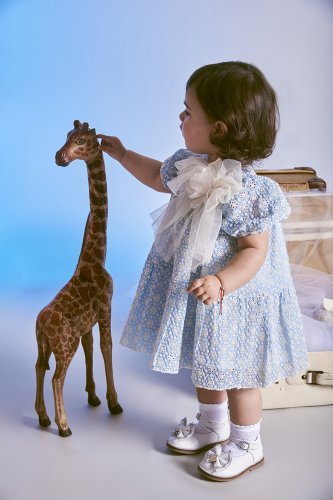 Robe bleue_8536