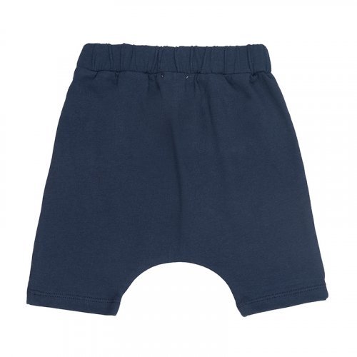 Blue Bermuda shorts_7826