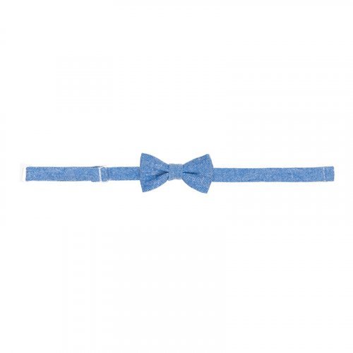 Blue bow tie