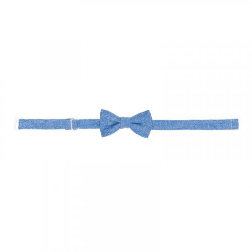 Blue bow tie_7731
