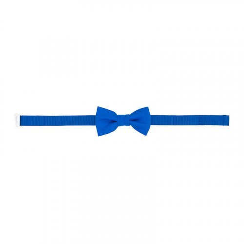 Blue bow tie_7732