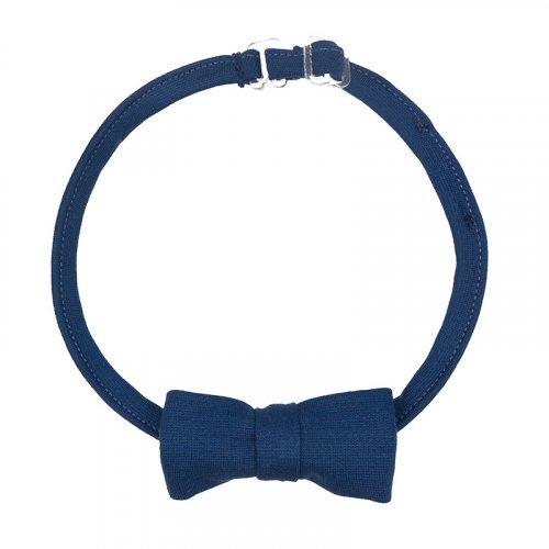 Blue bow tie_7749