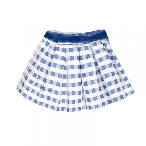 Blue checked skirt_8176