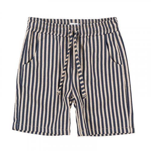 Blue Striped Shorts