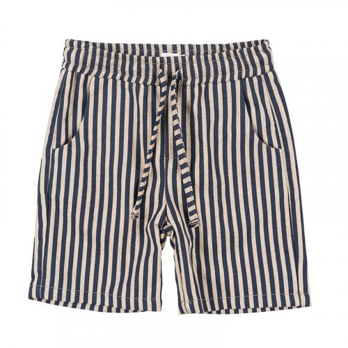 Blue Striped Shorts_4448