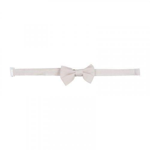 Bow tie_12442