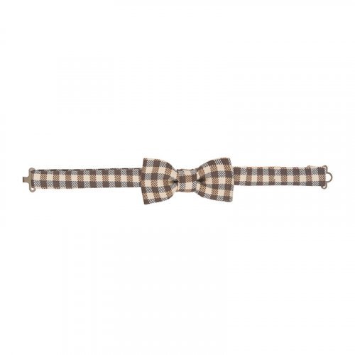 Bow Tie