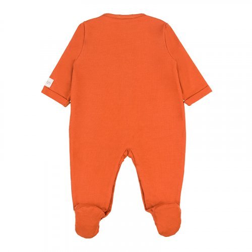 Brown Front Opening Babygro_5206