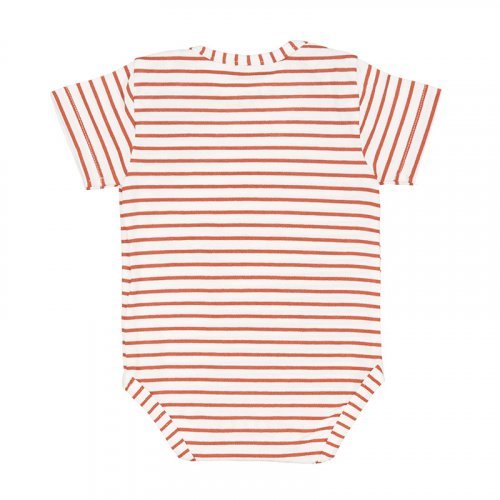 Brown Striped Body T-shirt_5308