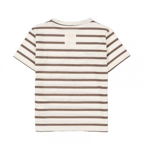 Dove Grey Striped T-Shirt_4497