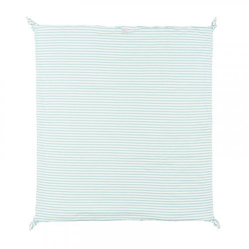 Green Striped Blanket with Writing_5181
