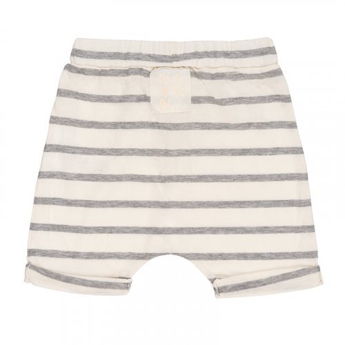 Grey Short with Striped_4439