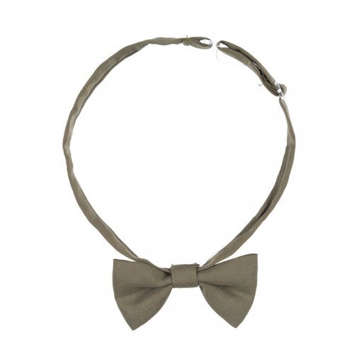 Papillon_12021