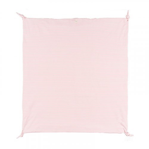 Pink Striped Blanket with Writing