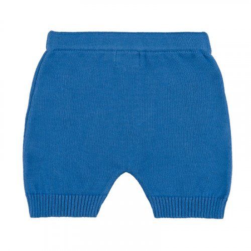 Shorts with embroidery_11512