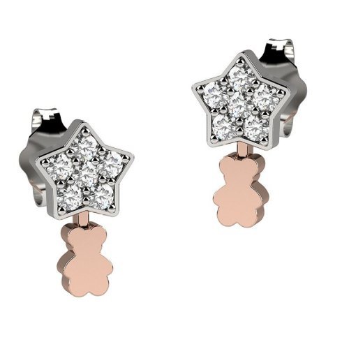 Stars sparkling earrings with bear