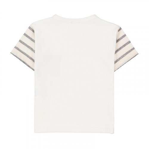 T-Shirt with Striped_5283