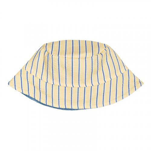 Yellow Striped Hat_5616