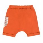 2pcs Set Striped T-shirt + Shorts Brown_5249