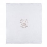 Blanket with teddy bear_12167