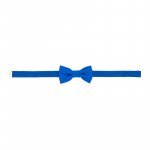 Blue bow tie_7732
