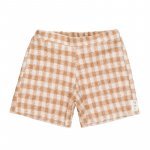 Brown Check Shorts_1530