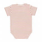 Brown Striped Body T-shirt_5308