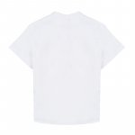Camisa Coreana de Manga Corta_4540