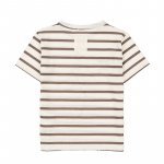 Dove Grey Striped T-Shirt_4497