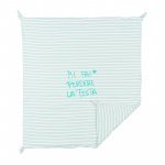 Green Striped Blanket with Writing_5180
