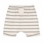 Grey Short with Striped_4439