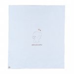 Light-blue Blanket with Teddy_4239