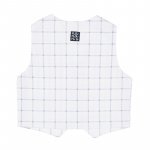 Light Blue Check Vest_4562