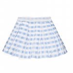 Light blue checked skirt
 (06 MESI)