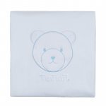Lightblue Blanket_9038