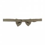 Papillon_12020