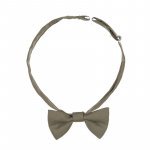 Papillon_12021
