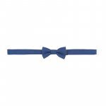 Papillon_12532