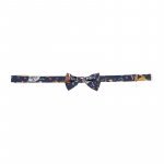Papillon_12046