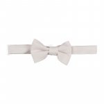 Papillon_12441