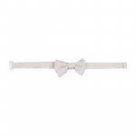 Papillon_12442