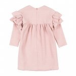 Pink Dress with Voulant_1537
