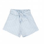 Shorts à rayures bleues_8579