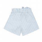 Shorts à rayures bleues_8580