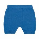 Shorts with embroidery_11512